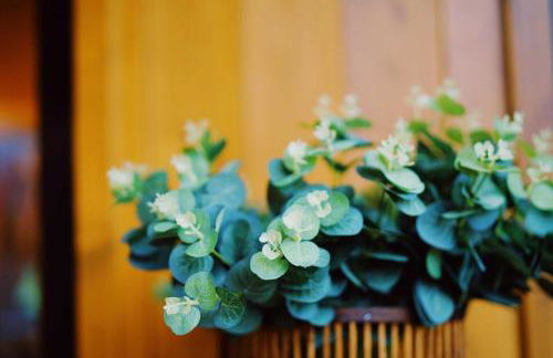 Stilvolles und Kunstvolles Retreat Apartment mit 400qm Garten & Massage und Ayurveda - Foto 6