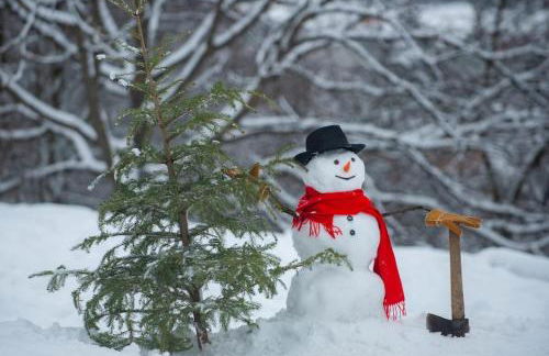 Lux Western Cabin Pool Table Ping Pong Vibes - Foto 78