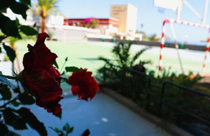 Apartamento Armonía - Foto 24