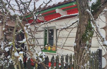 Gniazdo w Felicjanowie - Foto 6