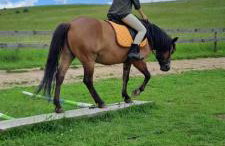 Bieszczadzka Chatka Gosia - Off Road , Quady , Jazda Konna - Foto 31