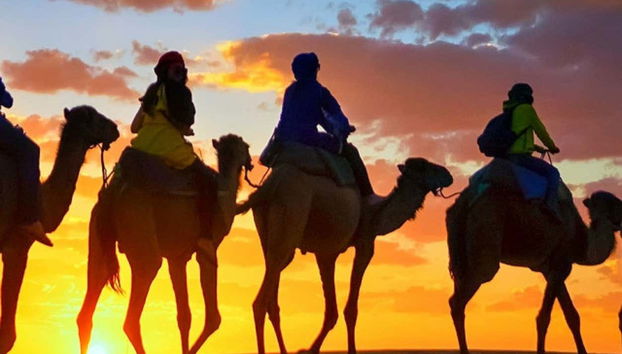 Sunset Camel Ride with Dinner in Agadir - Photo 2, Camel ride