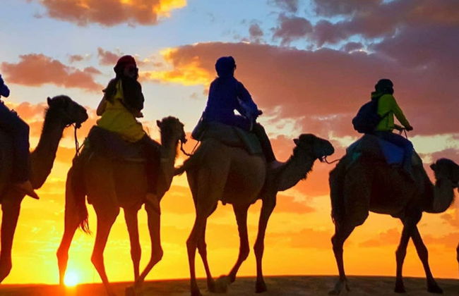 Balade à dos de chameau au coucher du soleil avec dîner - Photo 1