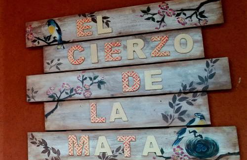 El Cierzo de la Mata - Foto 15