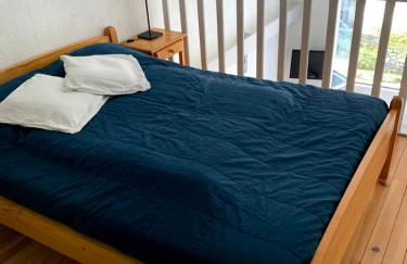 Regina-Vignemale - Foto 14