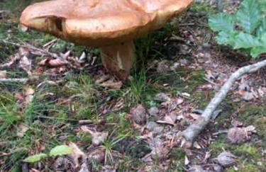 Domek na Uboczu - Foto 20