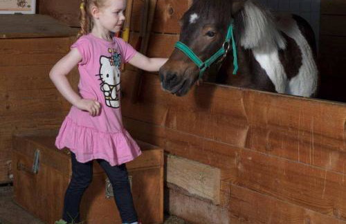 Bayerwald-Ferienhof Schmid - Foto 11