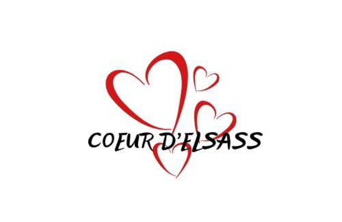 "Coeur d'elsass St Eloi centre ville avec parking - Foto 20