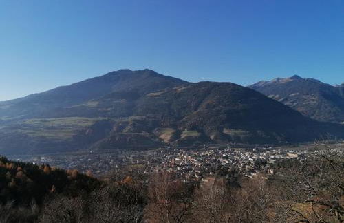 NEUE Ferienwohnungen auf dem Gebreitnerhof, Urlaub auf dem Bauernhof - Photo 61