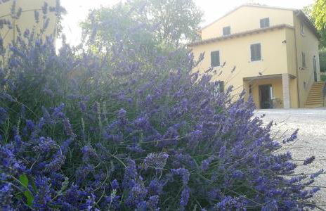 Agriturismo Il Truffarello TODI - Photo 18