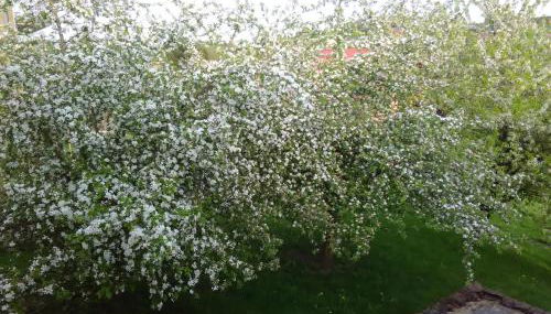 Ferienwohnung Barzen - Foto 3