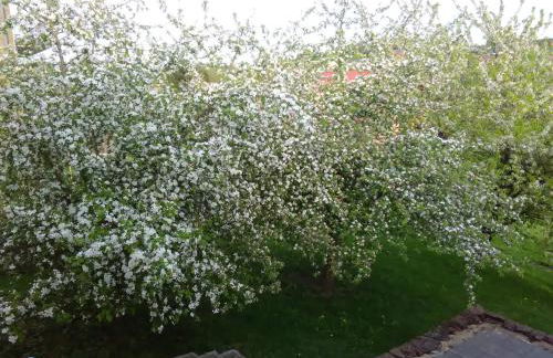 Ferienwohnung Barzen - Foto 3