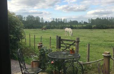 Secret & Secluded Sedlescombe - Foto 15