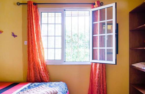 Country House in Azores - S. Miguel - Photo 18