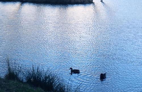 Bungalow kleine Auszeit - Photo 9