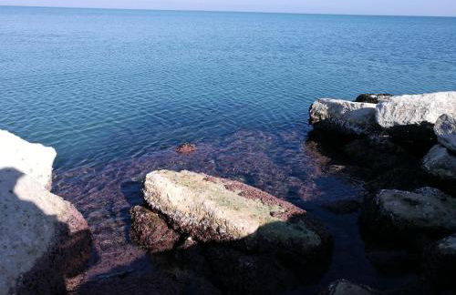 Villa Hermosa Beach - Foto 48