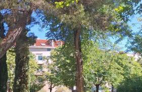 Apartment NADA in the center of Split - Foto 36