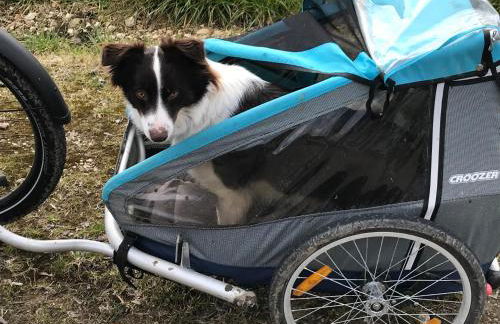 Haus Friedel 2 - Foto 22