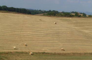 Villa Poggio al Sole Bio Agriturismo private pool - Foto 50