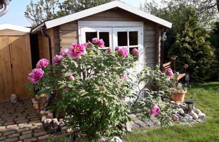 Ferienwohnung Niederrhein Blick - Foto 23