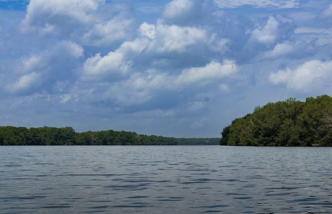 Condominio Caribe Campestr Olamar Living - Foto 51