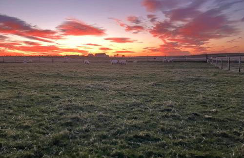 Seaview luxury pod - Photo 38