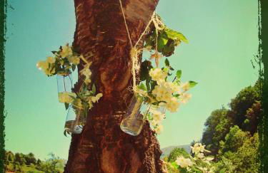 Casona Valle de Soba - Foto 43