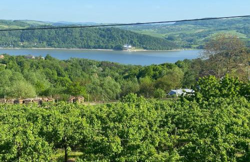 Tabacówka - Foto 31