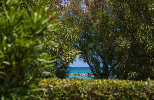 Residence Casabianca - Foto 12