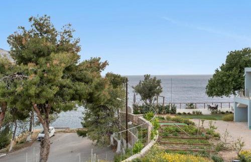 Niki's Studios Kalymnos - Foto 53