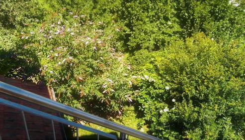 Galerie Ueber den Gaerten - Foto 5, Garden