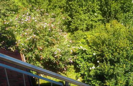 Galerie Ueber den Gaerten - Foto 5