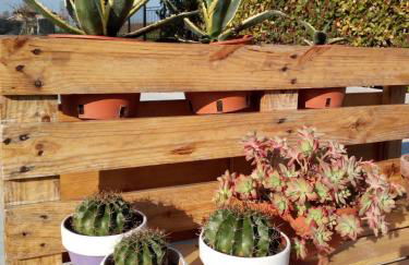 Appartamento Lavanda - Casa vacanza nel Delta del Po - Foto 29