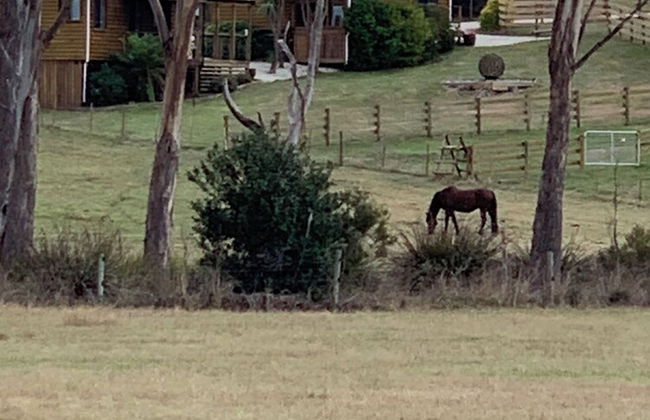 Hazelcreek Cottages - Photo 24