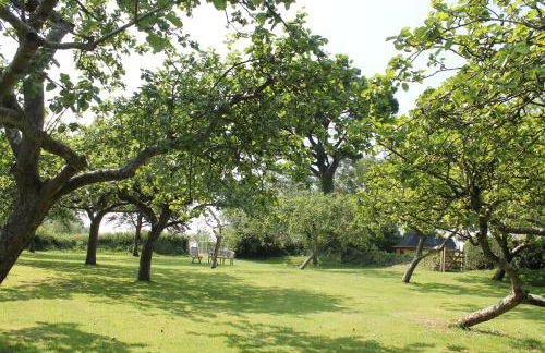 The Linhay Eastleigh - Foto 17