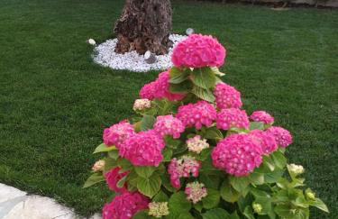 Holiday House Anja - Foto 25