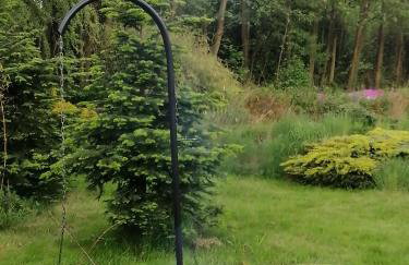 Sielskie Klimaty - Foto 11