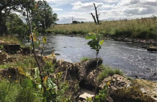 Elishaw Farm Holiday Cottages - Foto 42