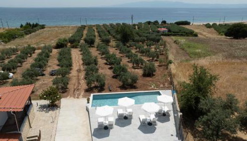 Casa Del Olivar - Foto 3