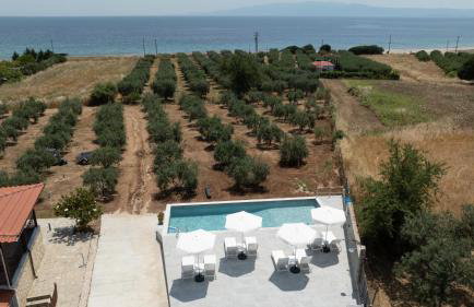 Casa Del Olivar - Foto 3