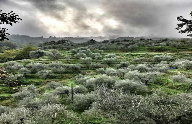 Chalet in Marliana Near Center - Foto 38