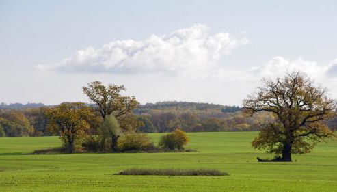 Unterm Dach - Foto 4