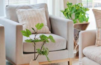 Cozy Cottage in the Heart of Huntersville - Foto 3