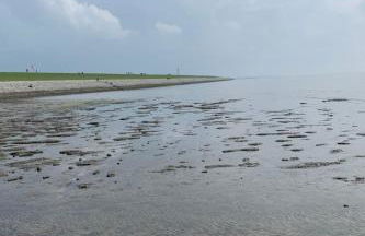 Holiday Home Neuhaus Deichperle by Interhome - Foto 27