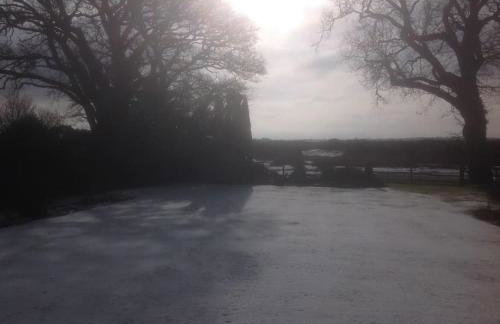 Holmans NEW FOREST - Photo 35