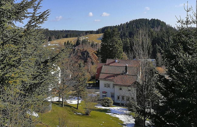 Apartment in Altenau Near Harz Mountains - Photo 8