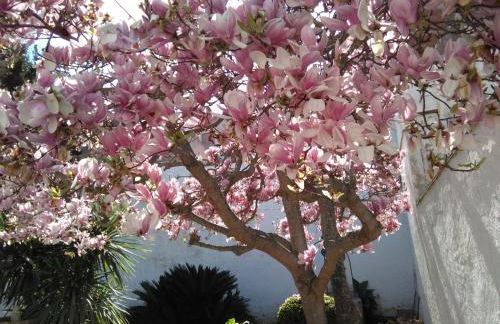 FAMILY Homefromhomees - Foto 51