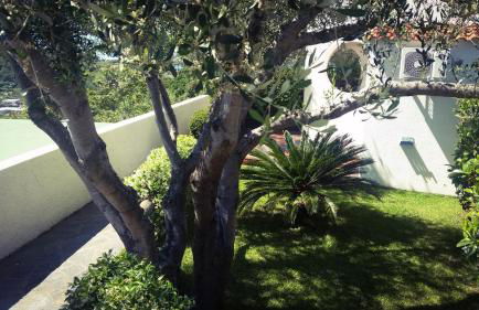 Appartamenti Luongo - Foto 66