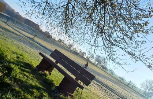 Ferienwohnung Schwarzhof- Hahnekräh am Bostalsee, helle 75 qm & hundefreundlich - Foto 79
