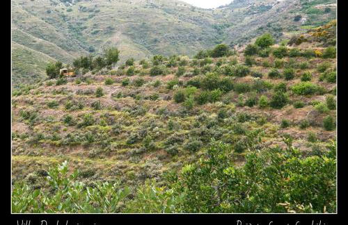 Villa Daskalogianni - Foto 55